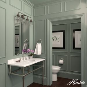 Hunter Cypress Grove 4-Light Bathroom Vanity Light in Onyx Bengal