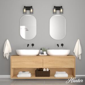 Hunter Lochmeade Smoked Glass 2-Light Bathroom Vanity Light in Natural Iron