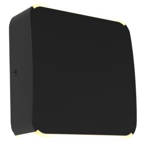 Newport 2-Light LED Outdoor Wall Mount in Black