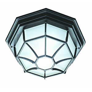 2-Light Matte Black Flushmount Ceiling Light