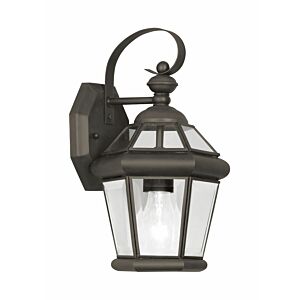 Georgetown 1-Light Outdoor Wall Lantern in Bronze