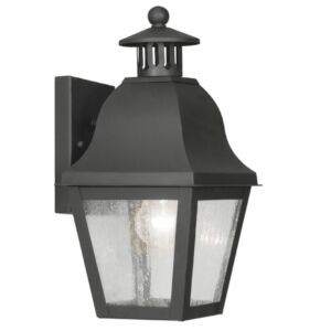 Amwell 1-Light Outdoor Wall Lantern in Black
