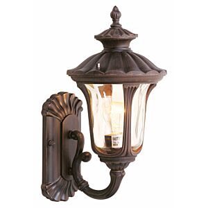 Oxford 1-Light Outdoor Wall Lantern in Hand Applied Imperial Bronze
