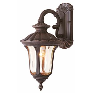 Oxford 1-Light Outdoor Wall Lantern in Hand Applied Imperial Bronze