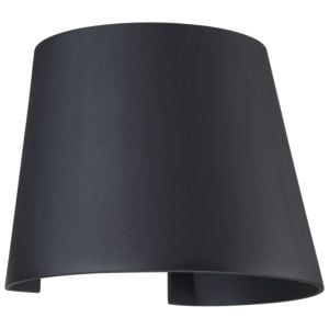 Access Cone 2 Light Outdoor Wall Light in Black
