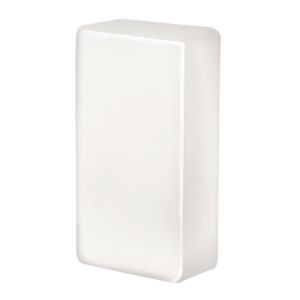 Access Brick 10 Inch Outdoor Wall Light in