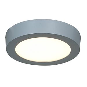 Access Strike 2.0 Ceiling Light in Silver