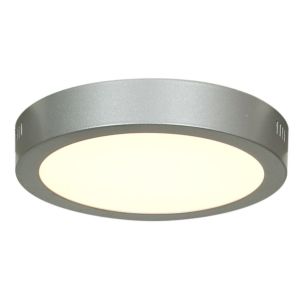 Access Strike 2.0 Ceiling Light in Silver