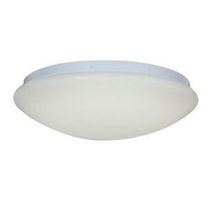 Access Catch Ceiling Light in White