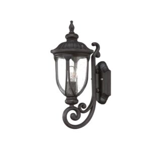Laurens 1-Light Wall Sconce in Black Coral