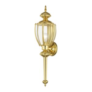 Outdoor Basics 1-Light Outdoor Wall Lantern in Polished Brass