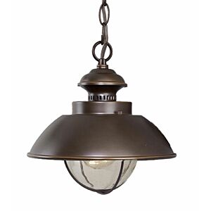 Harwich 1-Light Outdoor Pendant in Burnished Bronze