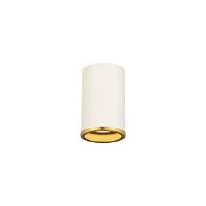 Z-Lite Arlo 1-Light Flush Mount Ceiling Light In Matte White With Rubbed Brass