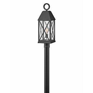 Hinkley Briar 1-Light Outdoor Light In Museum Black