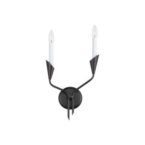 Calyx 2-Light Wall Sconce in Black