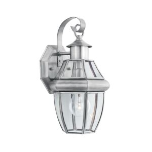 Heritage 1-Light Outdoor Wall Sconce in Brushed Nickel