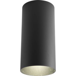 Cylinder 1-Light Outdoor Ceiling Mount in Black
