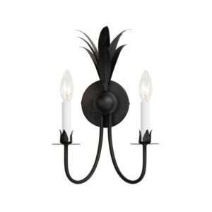 Paloma 2-Light Wall Sconce in Anthracite