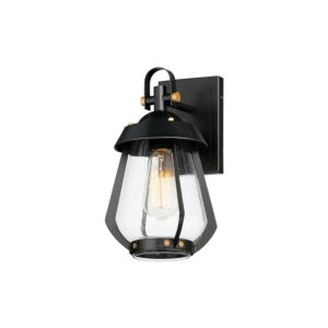 Mariner 1-Light Outdoor Wall Sconce in Black with Antique Brass