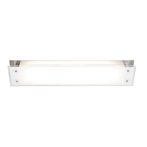 Access Vision Wall/Ceiling Mount in Brushed Steel