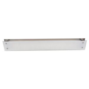 Access Vision 2 Light Wall/Ceiling Mount in Brushed Steel