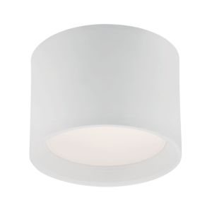 Eurofase Benton 1-Light Ceiling Light in White