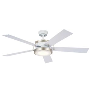 Salvo 1-Light 56 Ceiling Fan in White