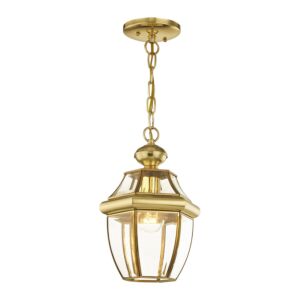 Monterey 1-Light Outdoor Pendant in Polished Brass
