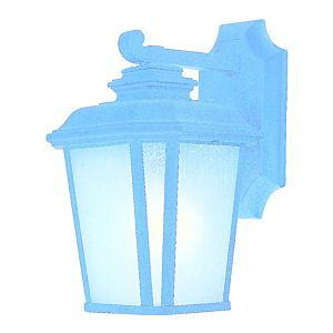 Radcliffe Outdoor Weathered Frost Wall Sconce