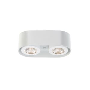 Eurofase Nymark 2-Light Ceiling Light in White