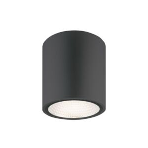 Cask 1-Light LED Ceiling Light in Matte Black