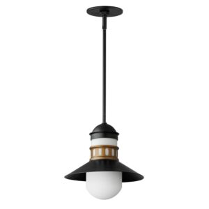 Admiralty 1-Light Outdoor Pendant in Black with Antique Brass