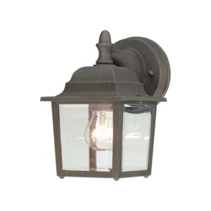 Hawthorne 1-Light Outdoor Wall Sconce in Painted Bronze