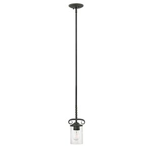 Hinkley Casa 1-Light Pendant In Olde Black With Clear Seedy Glass