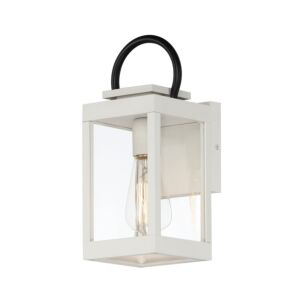 Nassau Vivex 1-Light Outdoor Wall Sconce in White with Black