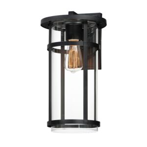Clyde Vivex 1-Light Outdoor Wall Sconce in Black