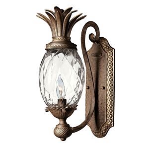 Hinkley Plantation 1-Light Wall Sconce In Pearl Bronze