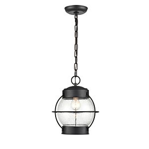 Aremelo Outdoor Hanging Light
