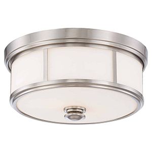 Minka Lavery Harbour Point 2 Light Ceiling Light in Brushed Nickel