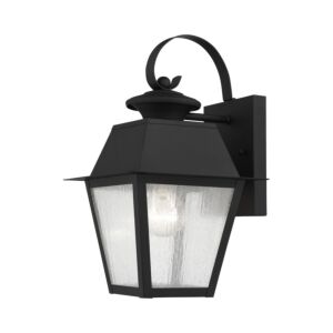 Mansfield 1-Light Outdoor Wall Lantern in Black