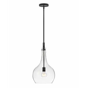 Hinkley Ziggy 1-Light Pendant In Black With Clear Glass