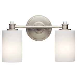 Joelson 2-Light LED Bathroom Vanity Light in Brushed Nickel