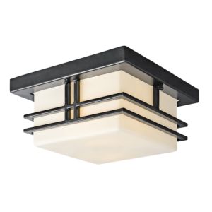 Tremillo 2-Light Outdoor Flush & Ceiling Light