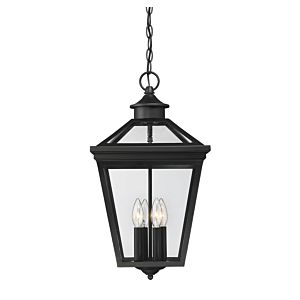 Savoy House Ellijay 4 Light Outdoor Hanging Lantern in Black