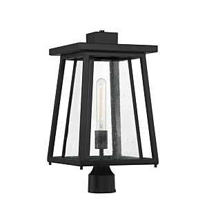 Denver 1-Light Outdoor Post Lantern in Matte Black