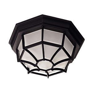 Exterior Collections Ceiling Light in Black