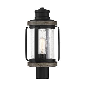 Parker 1-Light Outdoor Post Lantern in Lodge