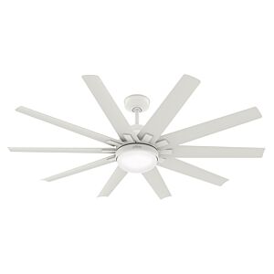 Overton 2-Light 60" Ceiling Fan in Matte White