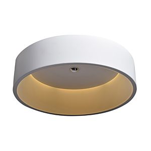 Access Radiant Ceiling Light in White