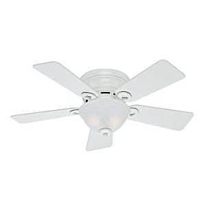 Hunter Conroy 2 Light 42 Inch Indoor Flush Mount Ceiling Fan in Snow White